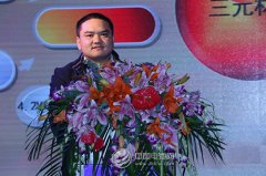 無界科技賀兆書：5V高電壓材料的應用