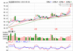 比亞迪擬定增加碼新能源汽車業務 市場募集資金開啟