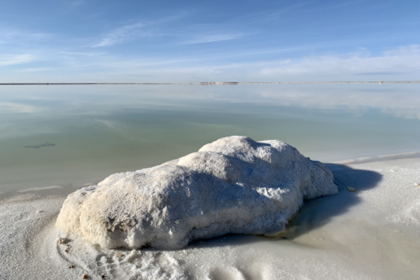 鋰礦如金礦！近10家鋰企凈利呈倍數(shù)增長，掌門人集體沖擊富豪榜