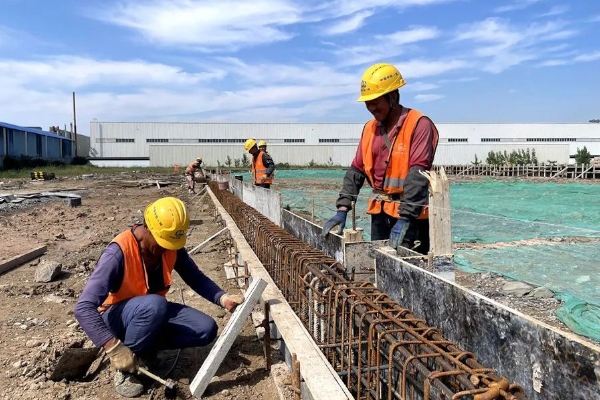 年產值約120億!這一磷酸鐵鋰電芯及儲能系統項目更新動態