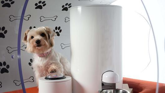 被蘋果逼急了？三星推出3萬美元高科技狗窩