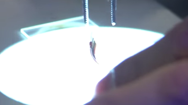 這6項(xiàng)新電池技術(shù)或改變手機(jī)汽車產(chǎn)業(yè)