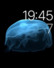 蘋果applewatch評測蘋果手表評測體驗