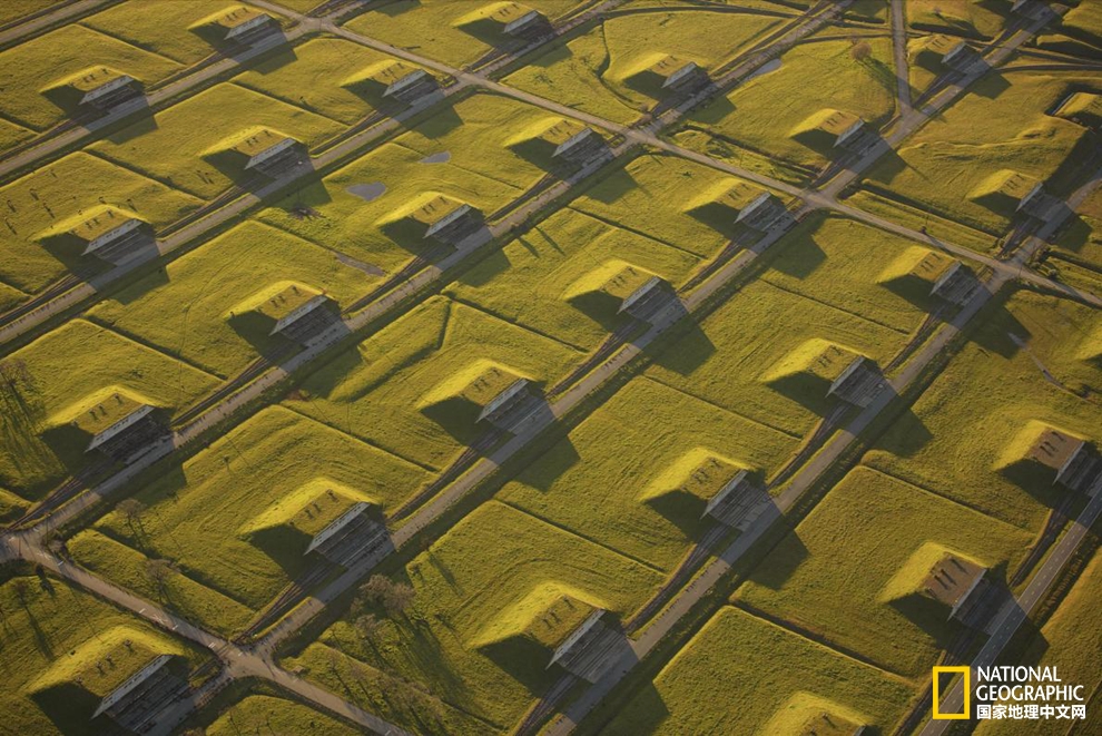 藝術(shù)感十足？新能源也可以美出新花樣！pic