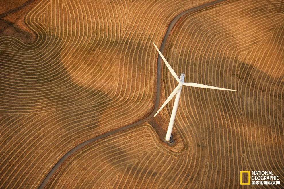 藝術(shù)感十足？新能源也可以美出新花樣！pic