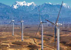 武鋼：避免政策用力過猛 “去補貼”要把穩節奏