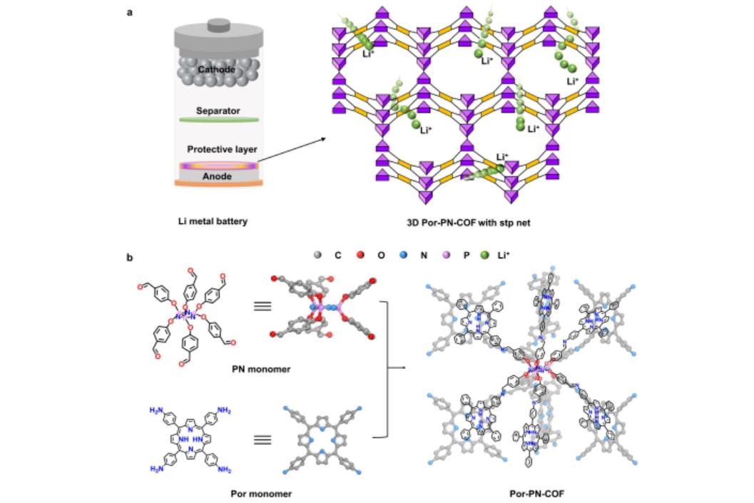 科學家發展出新型三維共價有機框架?助力實現高性能鋰金屬電池