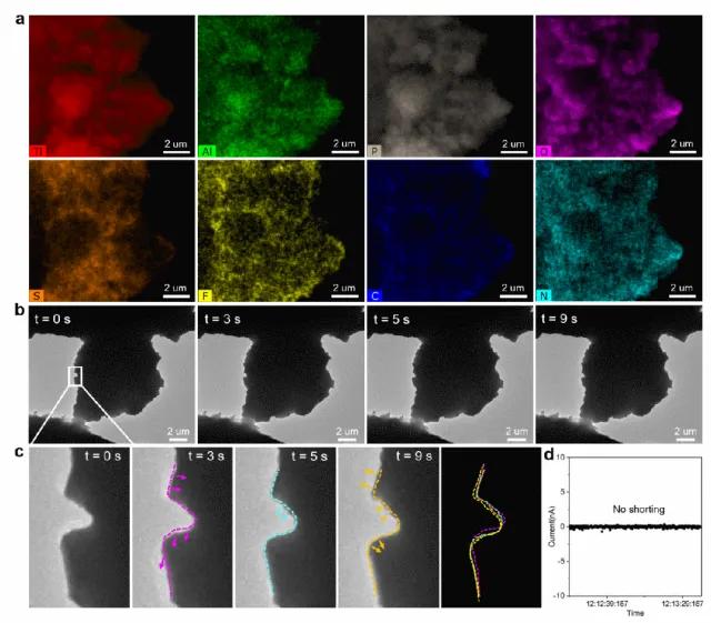 圖4. 有機—無機復合固態電解質中的穩定鋰離子傳輸 圖4. 有機—無機復合固態電解質中的穩定鋰離子傳輸