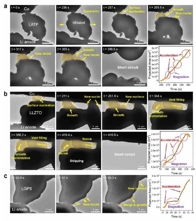 圖2. 鋰金屬析出—電解質短路動力學的原位電鏡觀察 圖2. 鋰金屬析出—電解質短路動力學的原位電鏡觀察