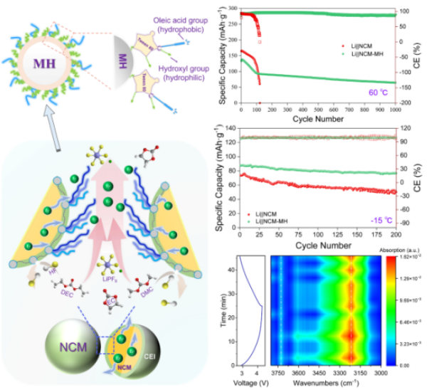 烷基鏈搖曳機(jī)理示意及電池長(zhǎng)循環(huán)性能對(duì)比 圖片來源:中國(guó)科學(xué)院青海鹽湖研究所 烷基鏈搖曳機(jī)理示意及電池長(zhǎng)循環(huán)性能對(duì)比 圖片來源:中國(guó)科學(xué)院青海鹽湖研究所
