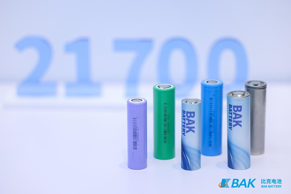 14億級(jí)出行剛需爆發(fā)!鋰電企業(yè)如何“讀懂”印度? 14億級(jí)出行剛需爆發(fā)!鋰電企業(yè)如何“讀懂”印度?