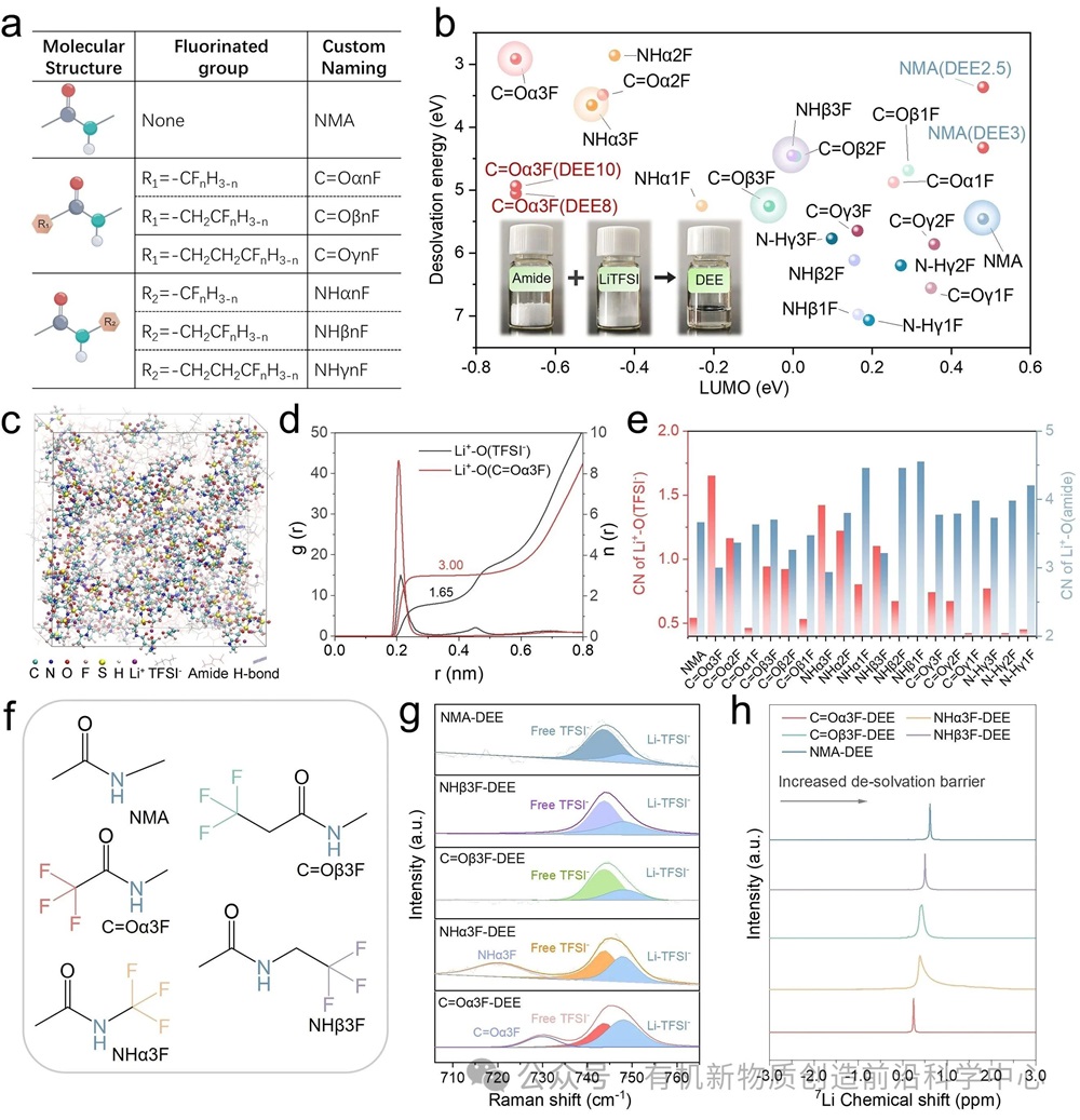 圖2. (a) 酰胺分子的自定義命名法。(b) 酰胺分子的LUMO能級及其在低共熔電解質（DEE）中與Li?的去溶劑化能量，插圖為DEE的制備過程。圖中未標注的數據點均對應DEE4。(c) C=Oα3F-DEE的快照及溶劑化結構，球棍模型顯示了包含陰離子的溶劑化結構。(d) C=Oα3F-DEE的徑向分布函數（RDF）。(e) 分子動力學模擬得到的Li+–O(酰胺)和Li?–O(TFSI?)配位數（CNs）。(f) 主要實驗對象的化學結構。(g) DEEs的擬合拉曼光譜。(h) DEEs的核磁共振光譜（NMR）。