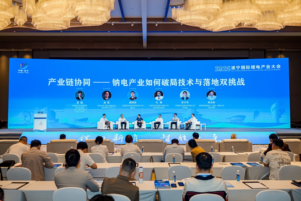 2025遂寧國際鋰電產業大會鈉電池分論壇互動環節 2025遂寧國際鋰電產業大會鈉電池分論壇互動環節