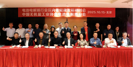 破局“內(nèi)卷”!電池電解質(zhì)行業(yè)健康發(fā)展研討會(huì)發(fā)布共同倡議 破局“內(nèi)卷”!電池電解質(zhì)行業(yè)健康發(fā)展研討會(huì)發(fā)布共同倡議