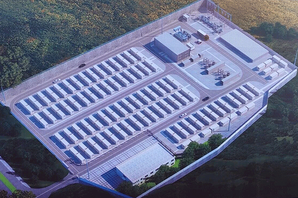 圖片來源:隆陽發布 圖片來源:隆陽發布