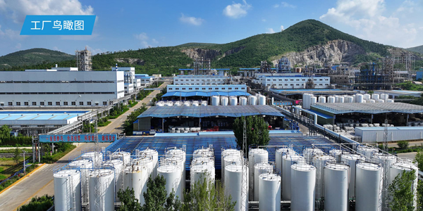 圖/泰和科技 圖/泰和科技