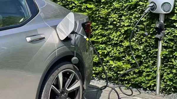 圖/Intramco 圖/Intramco