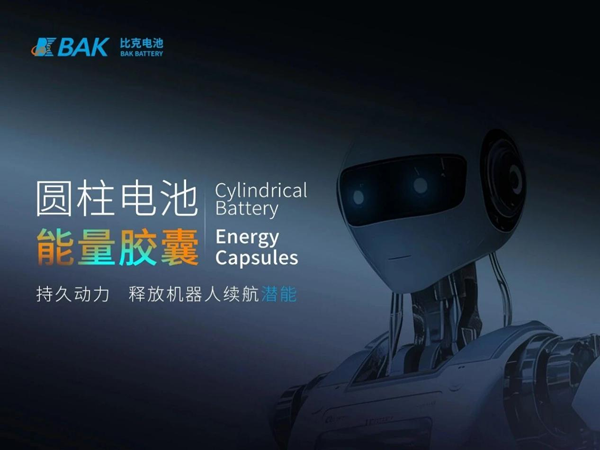 圖/比克電池 圖/比克電池