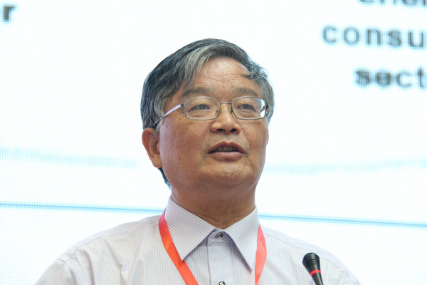 國際氫能學會副主席、清華大學教授毛宗強