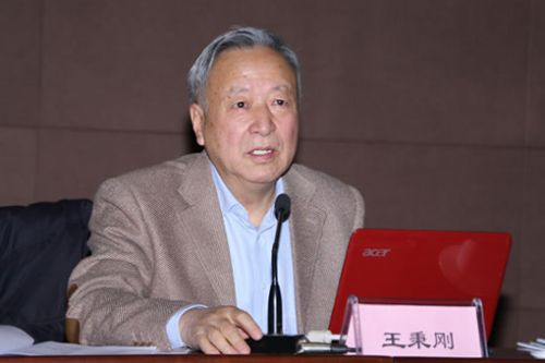 王秉剛：警惕重蹈傳統汽車技術空心化的覆轍