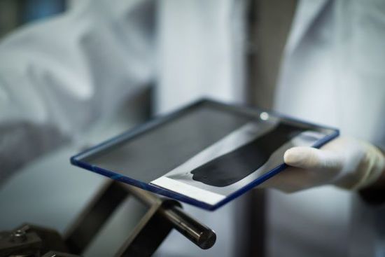 新型雙碳性電池 充電速率為鋰電池20倍