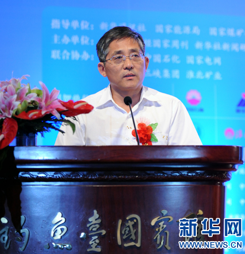 中國電力企業聯合會專職副理事長  魏昭峰