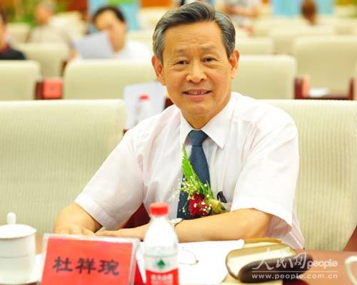 杜祥琬:新能源汽車的價值取決于電的“綠色化” 杜祥琬:新能源汽車的價值取決于電的“綠色化”