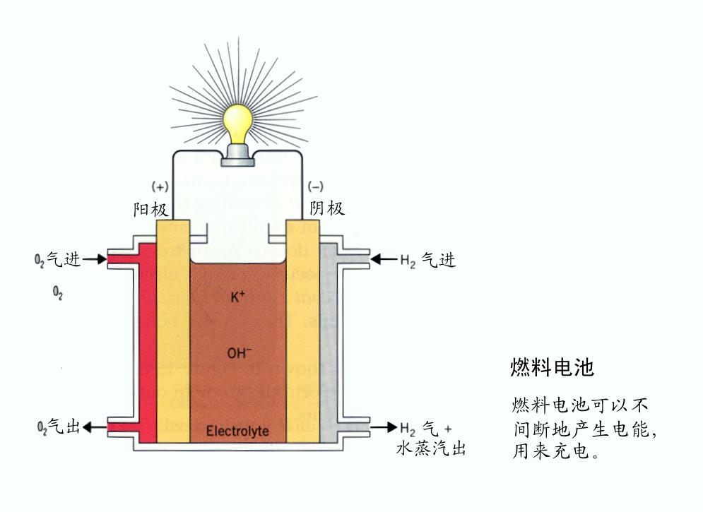 新研究揭示細(xì)菌酶制取甲酸機(jī)制 可用于造燃料電池