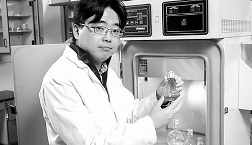 新型生物太陽能電池效率倍增 新型生物太陽能電池效率倍增