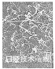 鋰電池開(kāi)發(fā)史（1）：鋰電池?cái)[脫三重苦即將登場(chǎng)