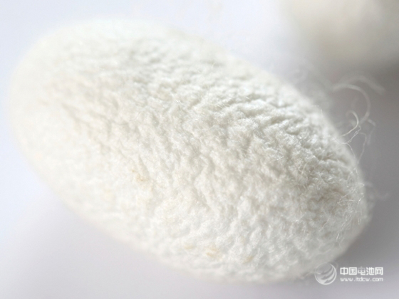 蜘蛛絲能讓電池容量翻倍