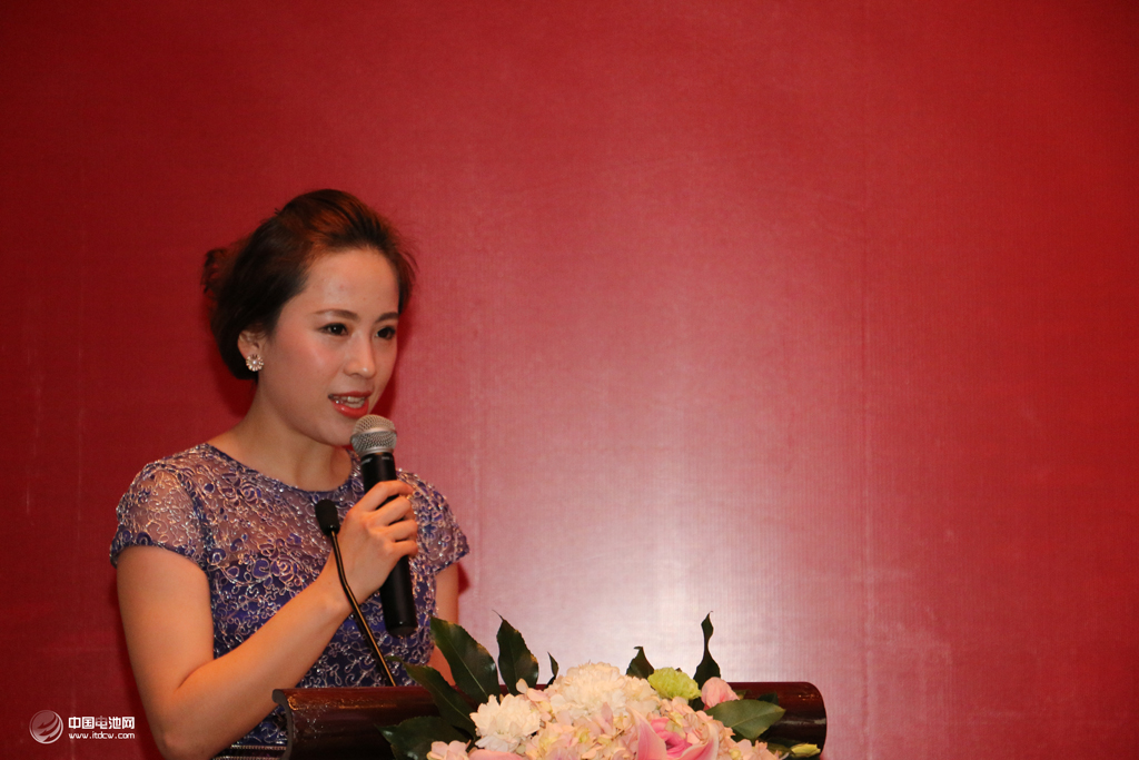 中國電池網(wǎng)主持人丁潔