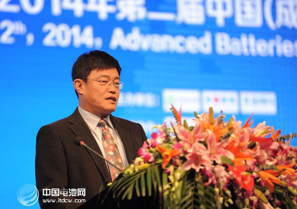 王子冬 中國電池網(wǎng)資料圖片 王子冬 中國電池網(wǎng)資料圖片