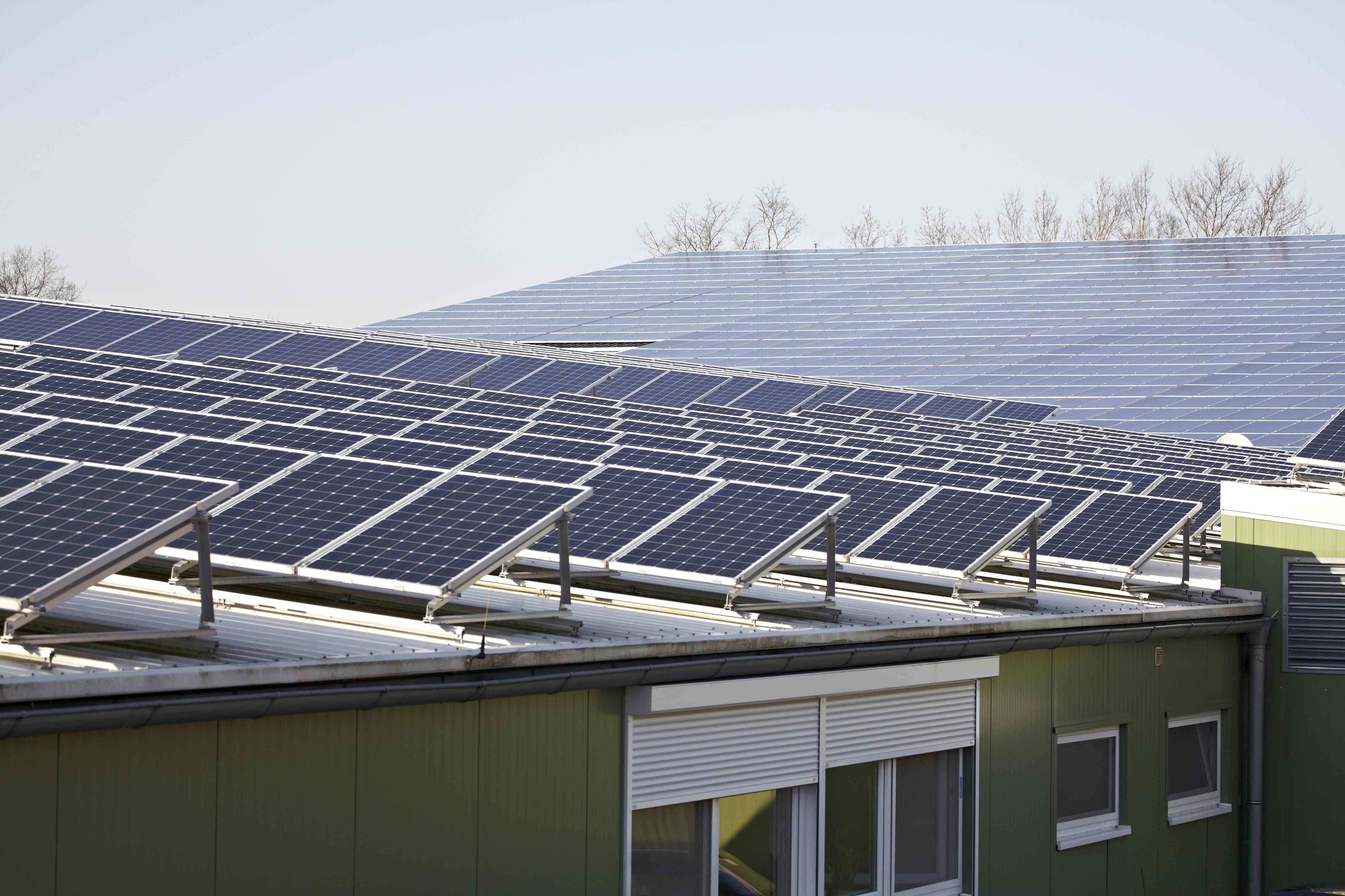 牙買加將建加勒比最大太陽能光伏電站 牙買加將建加勒比最大太陽能光伏電站