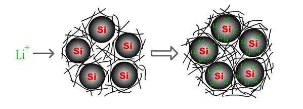 稻殼制成優(yōu)質(zhì)電池硅負(fù)極材料 容量增加90% 稻殼制成優(yōu)質(zhì)電池硅負(fù)極材料 容量增加90%