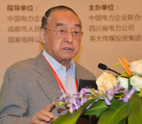 中國科學(xué)院院士盧強(qiáng)