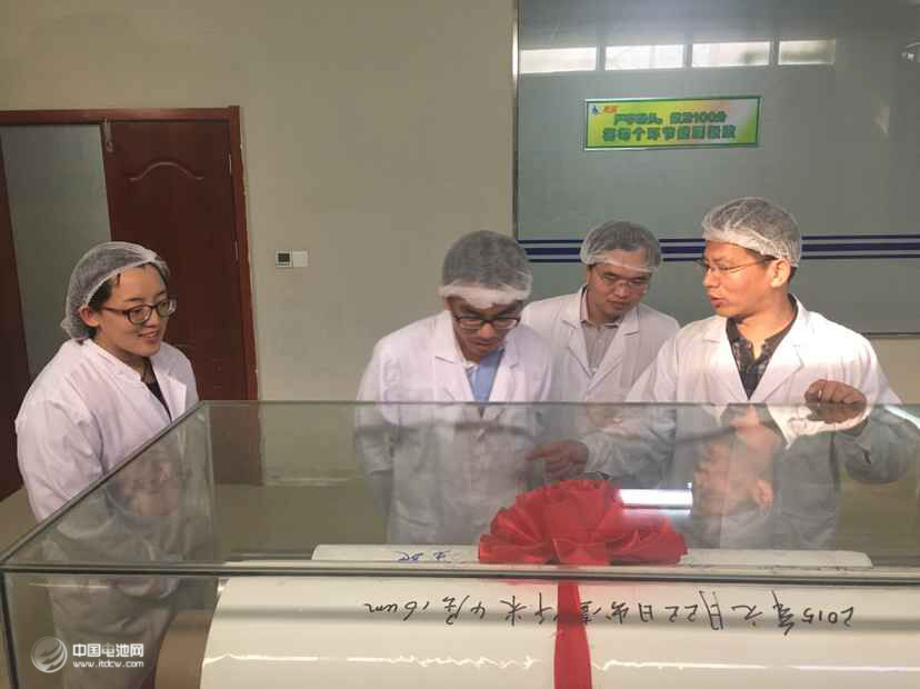 鋰電“達(dá)沃斯”組委會(huì)學(xué)術(shù)委員會(huì)一行調(diào)研惠強(qiáng)新能源