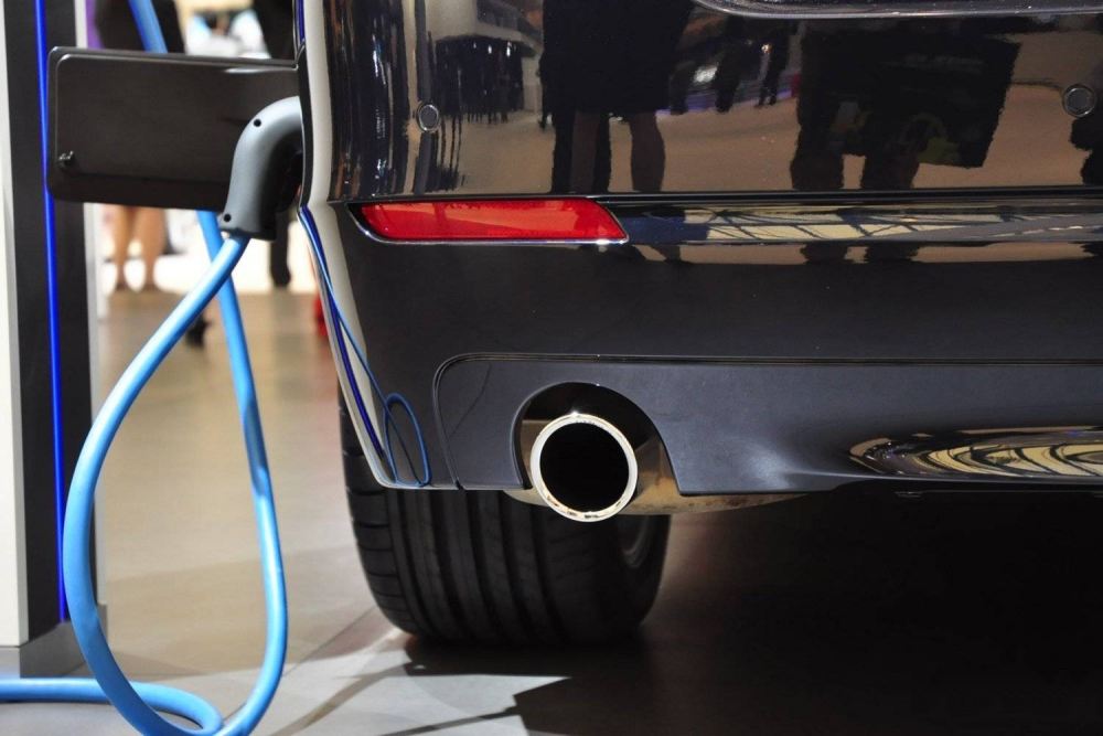 政府補貼逾百億元 誰能從新能源車賺錢？