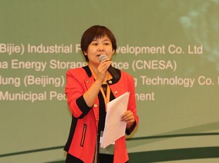 中關村儲能聯盟張靜：光儲模式開啟儲能新紀元