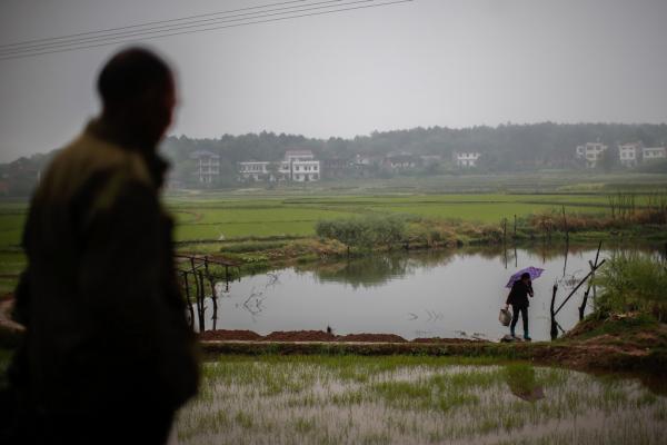 湖南衡陽(yáng)易XX等53人訴衡陽(yáng)美侖化工環(huán)境污染兒童血鉛超標(biāo)案