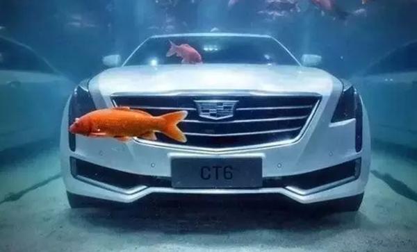 上汽榮威e550電池組完成“浸水五天”挑戰(zhàn)