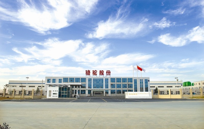 駱駝股份 駱駝股份