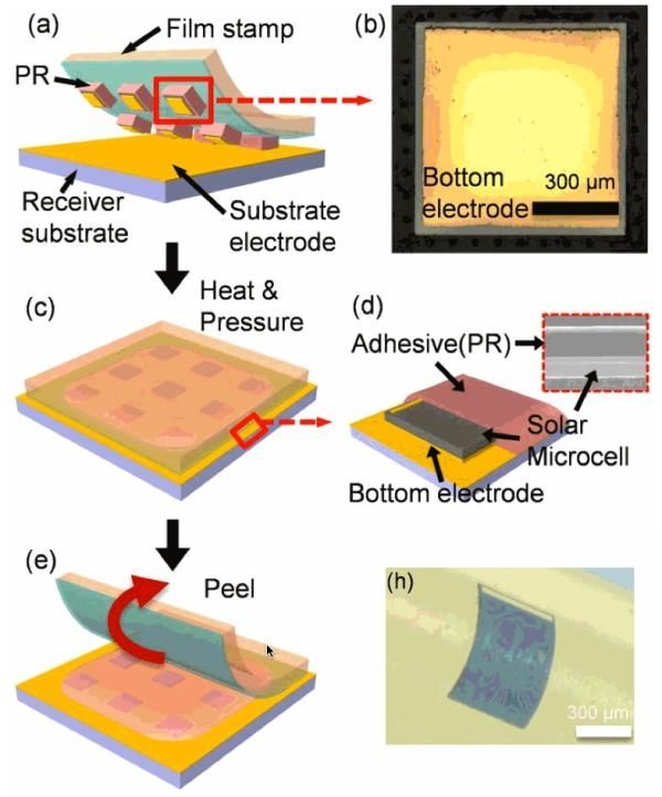 韓國研制出世界最薄太陽能電池 厚度僅為頭發直徑1%