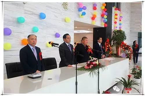 鉛酸電池迎革命 安徽潤爾光電集團納米硅鎂固體電池投產