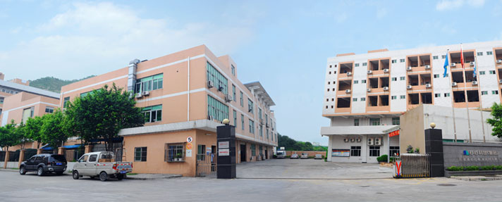 東莞杉杉 東莞杉杉