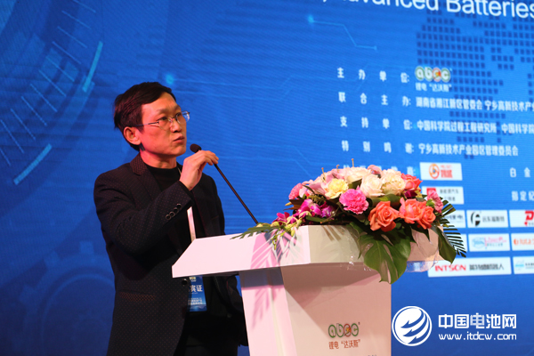 湖南星城石墨科技股份有限公司總經理 皮濤 湖南星城石墨科技股份有限公司總經理 皮濤