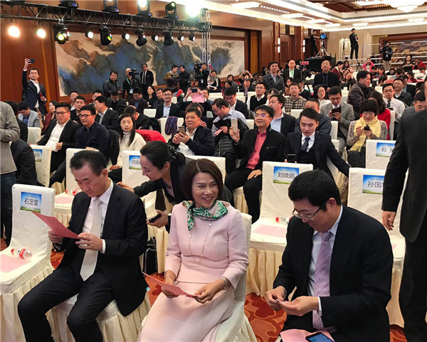 董明珠攜萬達京東等優秀資本入股珠海銀隆 共同布局新能源發展 董明珠攜萬達京東等優秀資本入股珠海銀隆 共同布局新能源發展