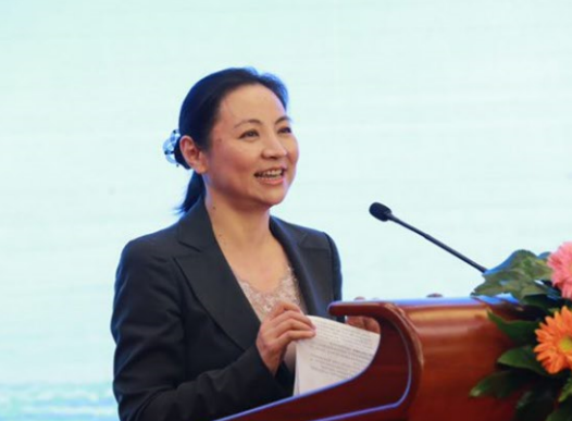 銀隆何以獲得董明珠與王健林等超強陣容30億投資? 銀隆何以獲得董明珠與王健林等超強陣容30億投資?