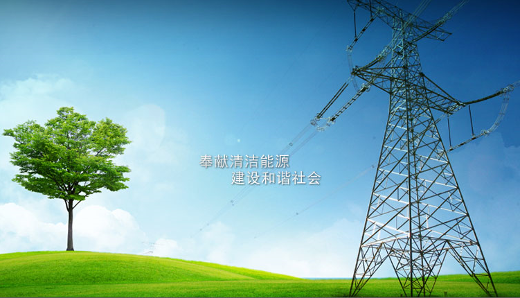 國(guó)家電網(wǎng)