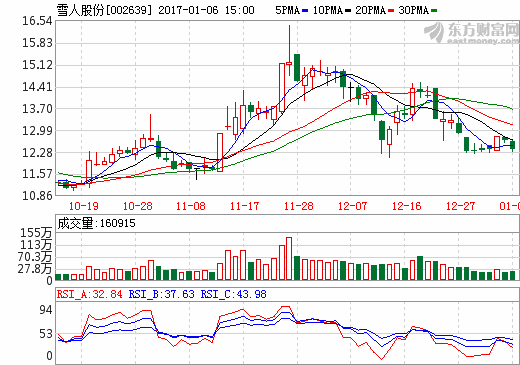 雪人股份股價走勢圖 雪人股份股價走勢圖